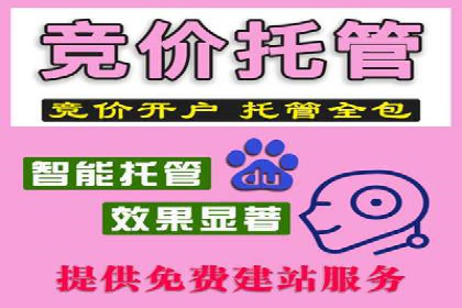 百度推广公司的成功案例：如何实现广告投资回报最大化